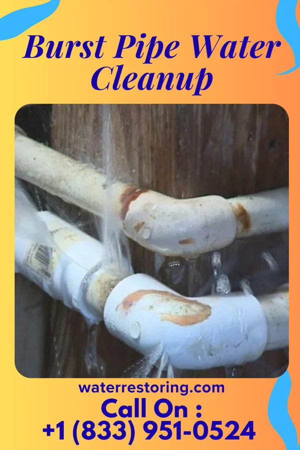 Burst Pipe Water Cleanup in West Burke, VT
