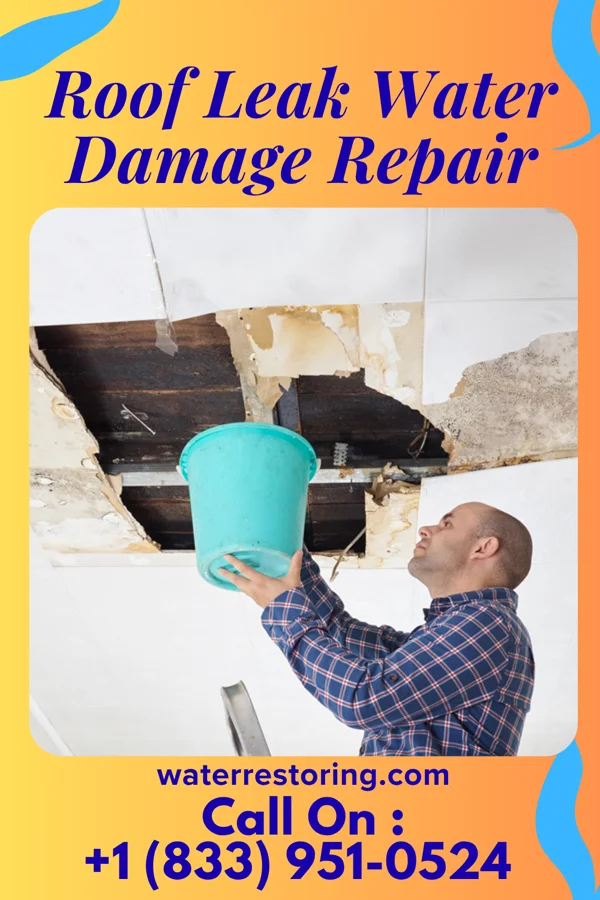 Roof Leak Water Damage Repair in West Burke, VT
