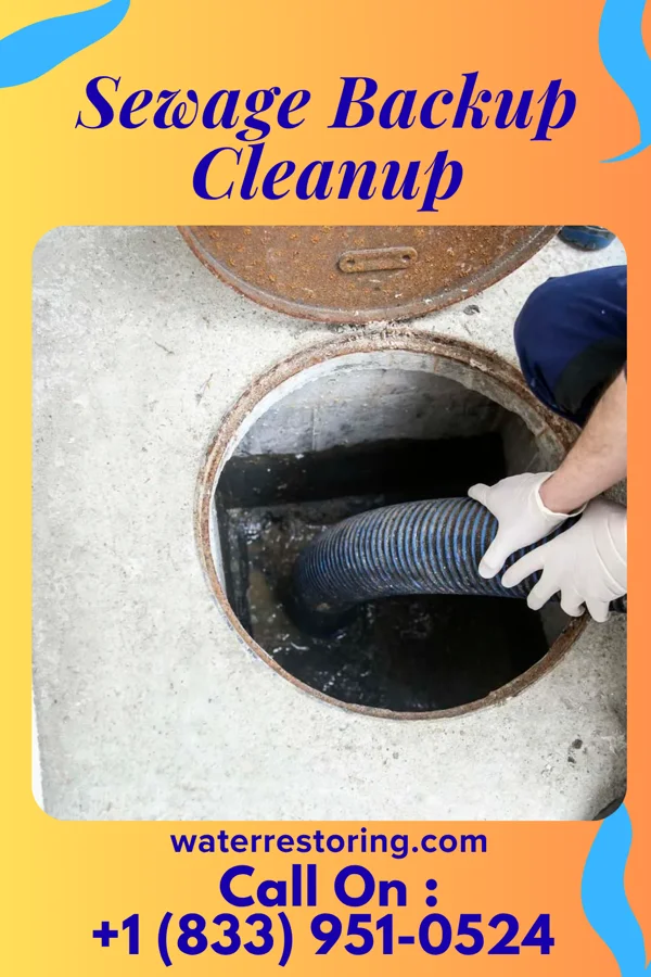 Sewage Backup Cleanup in West Burke, VT