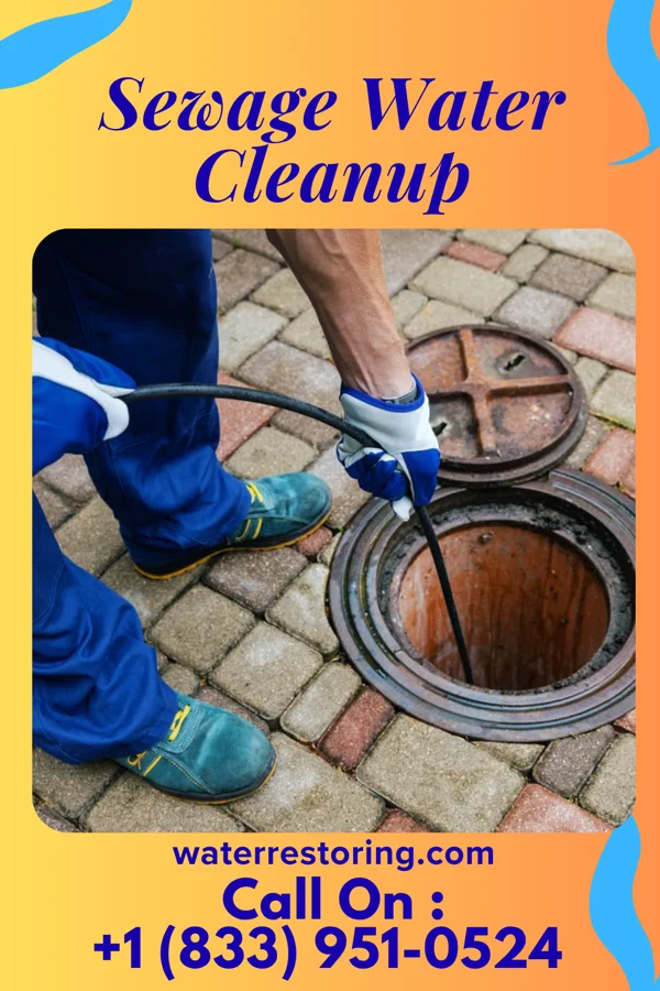 Sewage Water Cleanup in West Burke, VT